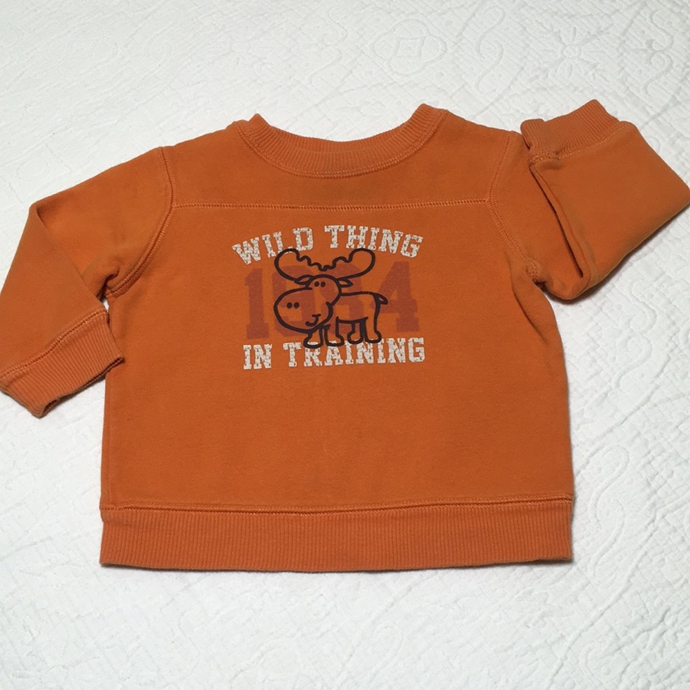 18m (4/$20) Sweatshirt by Jumping Beans